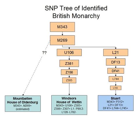 y dna of the dynasty